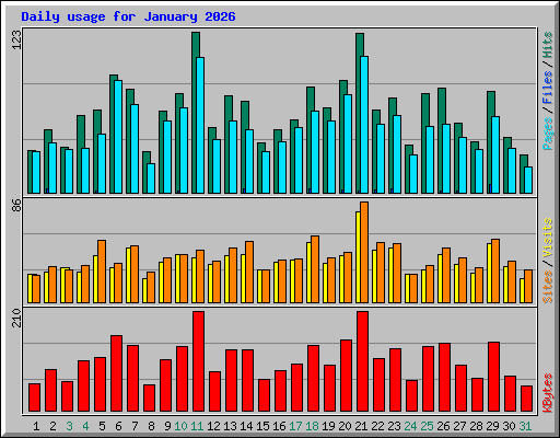 Daily usage for January 2026