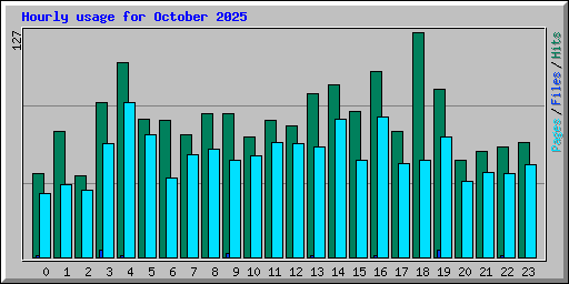 Hourly usage for October 2025