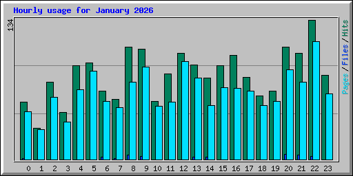 Hourly usage for January 2026