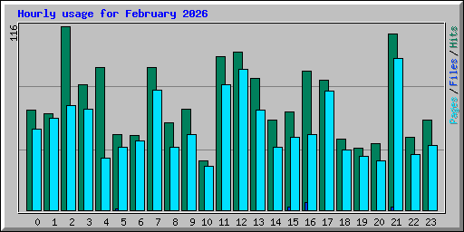 Hourly usage for February 2026